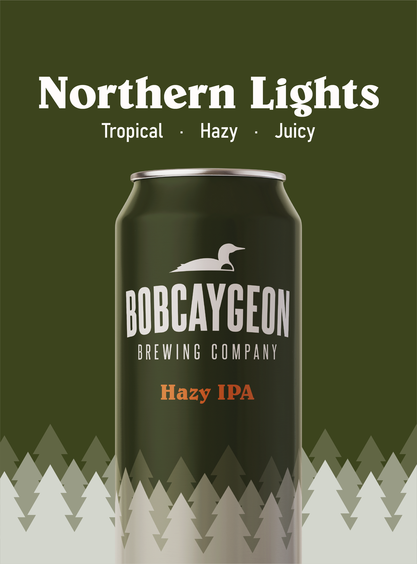 NORTHERN LIGHTS