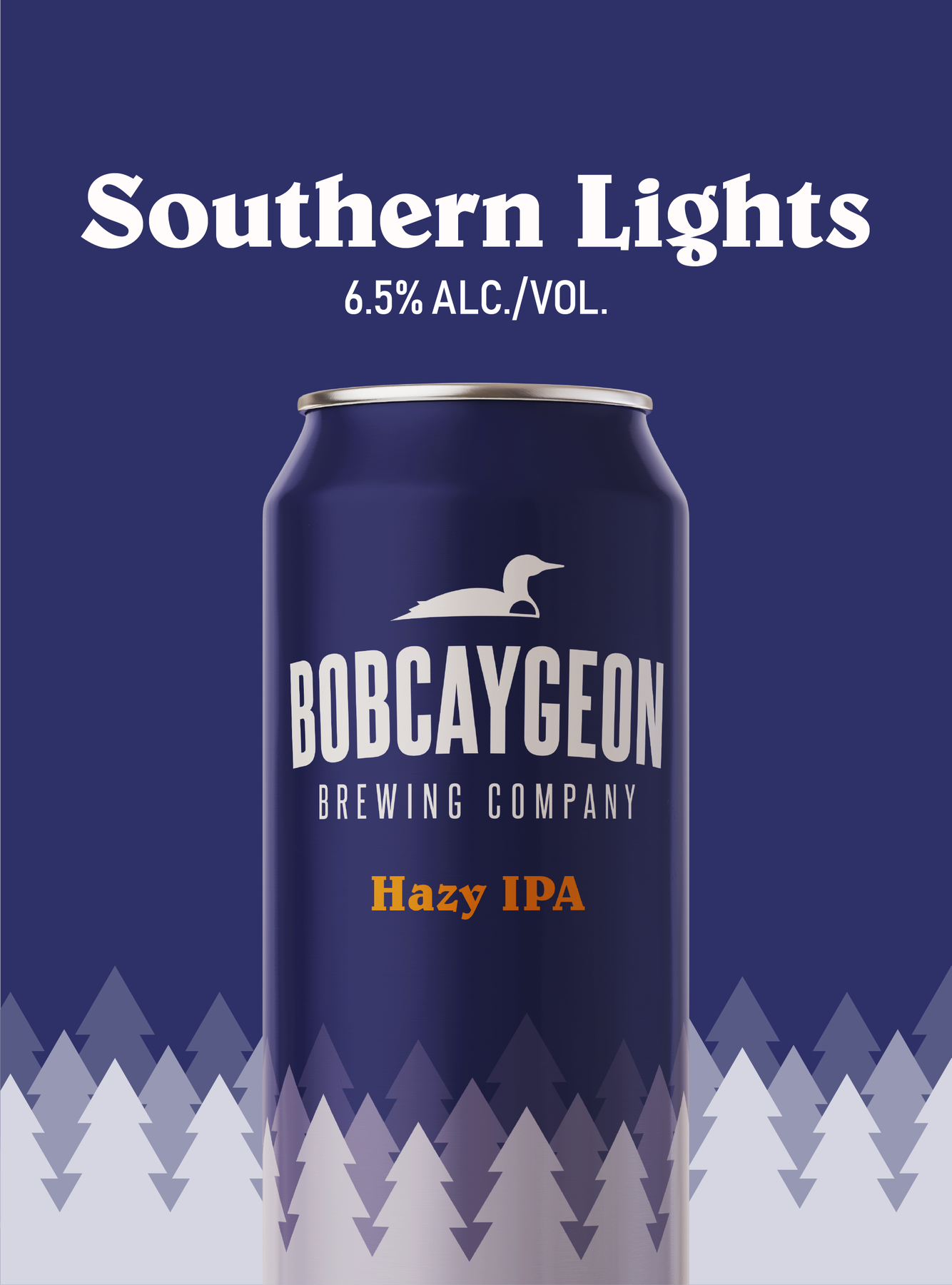 SOUTHERN LIGHTS HAZY IPA